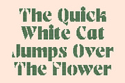 CS Aslan Knitted, a Sans Serif Font by Craft Supply Co. (Thumbnail 2 of 8)