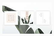 ANIMATED Instagram Posts – Peony, a Social Media Template by AgataCreate (Thumbnail 9 of 13)