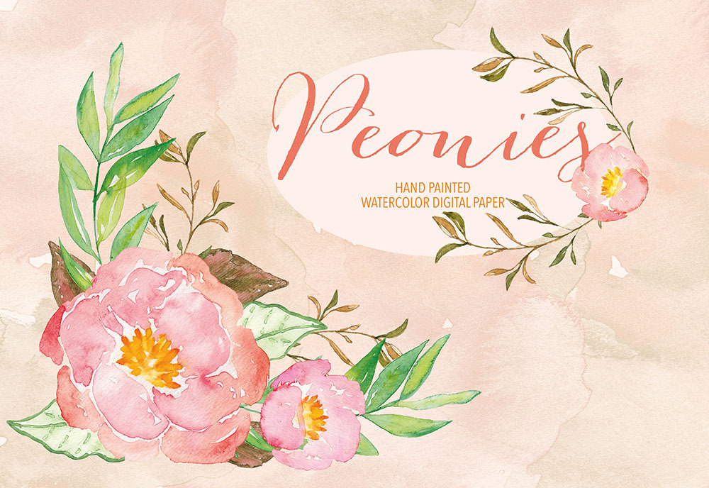 Watercolor Peonies, An Illustration By Designloverstudio