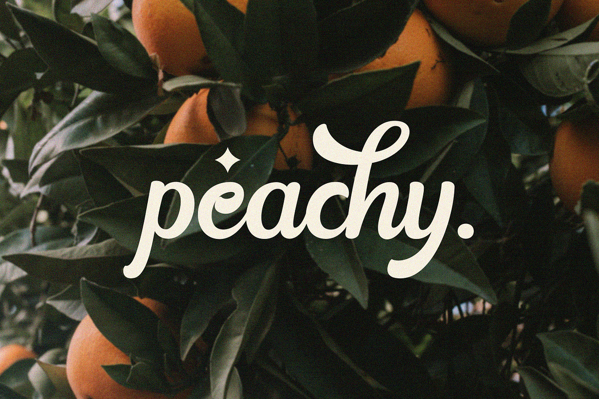 Modesty, a Symbol Font by Flawless And Co (Photo 11 of 12)