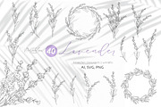 Lavender Line Art, a Decorative Illustration by CaraulanStore (Thumbnail 1 of 8)