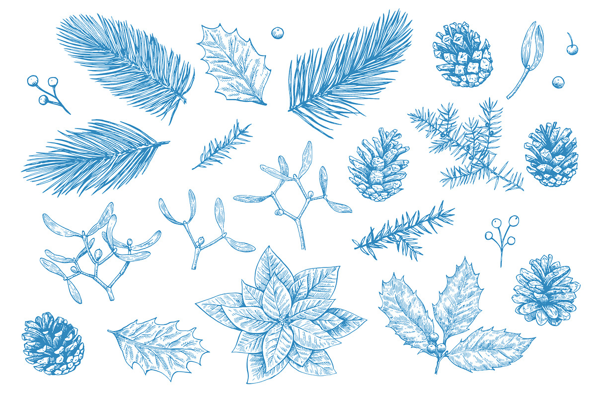 Christmas patterns and elements, a Seasonal Illustration by Robusta (Photo 8 of 9)