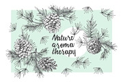 Hand drawn sketch fir with pinecone, a Decorative Illustration by Zimages (Thumbnail 5 of 7)