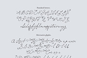 Elisabeth Darlington with Bows, a Script Font by PeachCreme (Thumbnail 22 of 22)