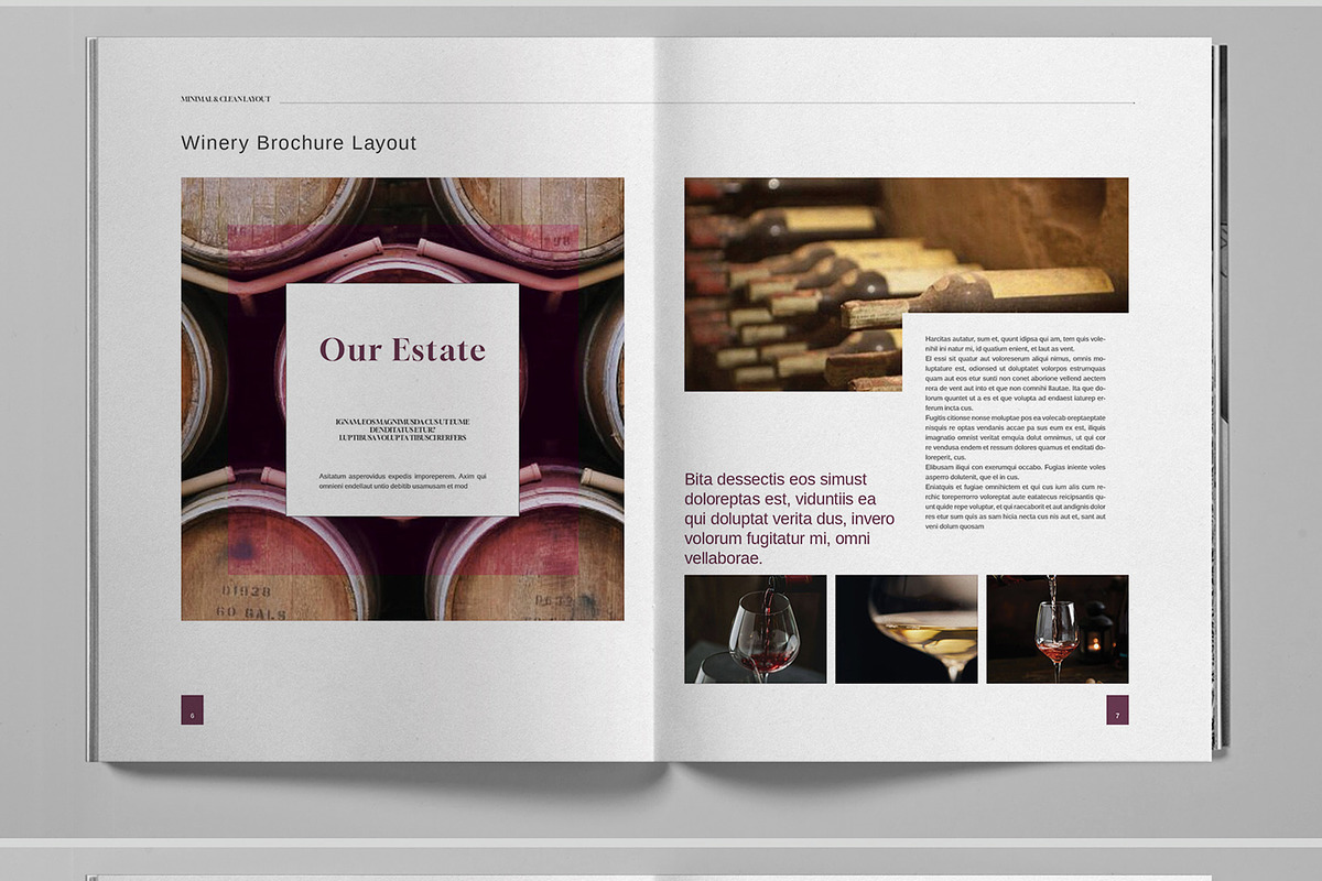 Winery Firm Brochure Template, a Brochure Template by Boris Cupac (Photo 5 of 7)