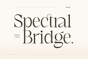 Spectral Bridge - Modern Serif, a Serif Font by Namara Creative Studio (Thumbnail 9 of 14)