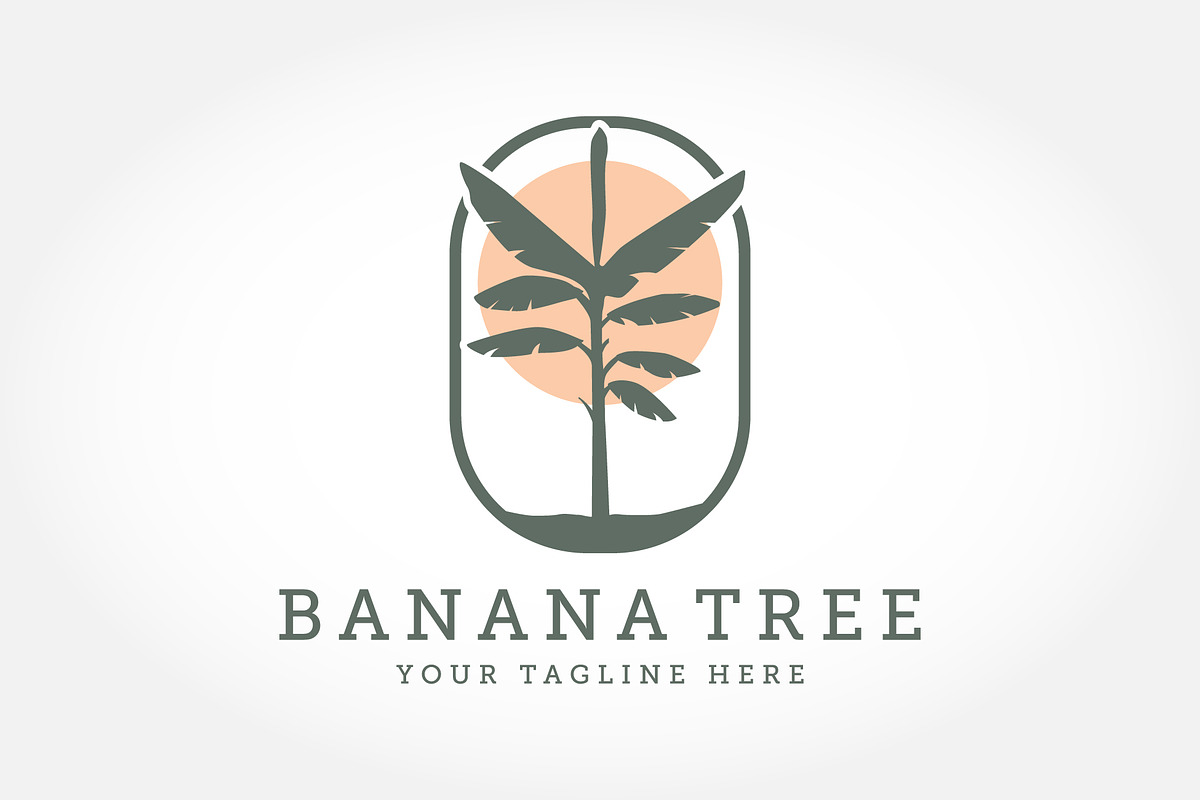 Banana Tree Logo, Tropical Fruit, a Branding & Logo Template by PrastHF