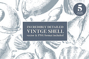 Vintage shell, an Illustration by Siosay (Thumbnail 1 of 8)