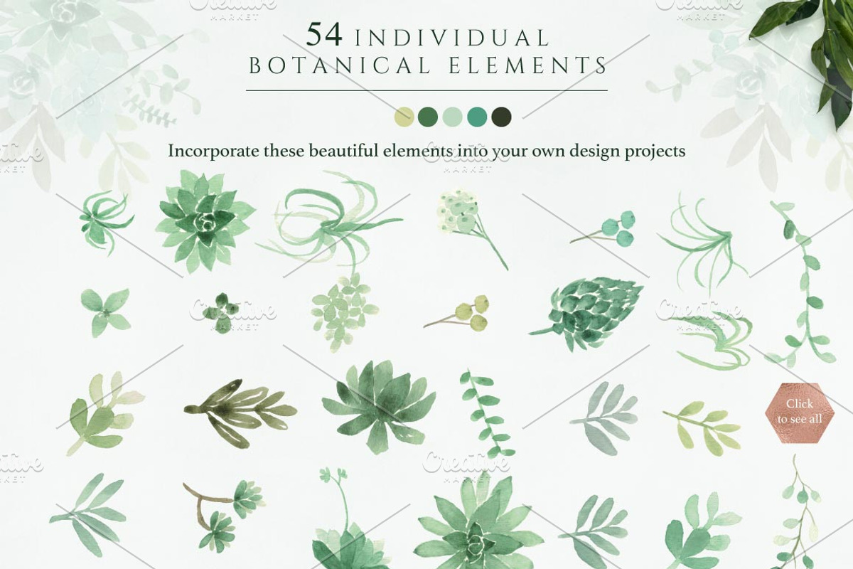 Botanist II - Airplants & Succulents, a Texture Illustration by Momo Studio (Photo 15 of 15)