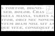 1890 Notice Set, a Serif Font by GLC Foundry (Thumbnail 5 of 9)