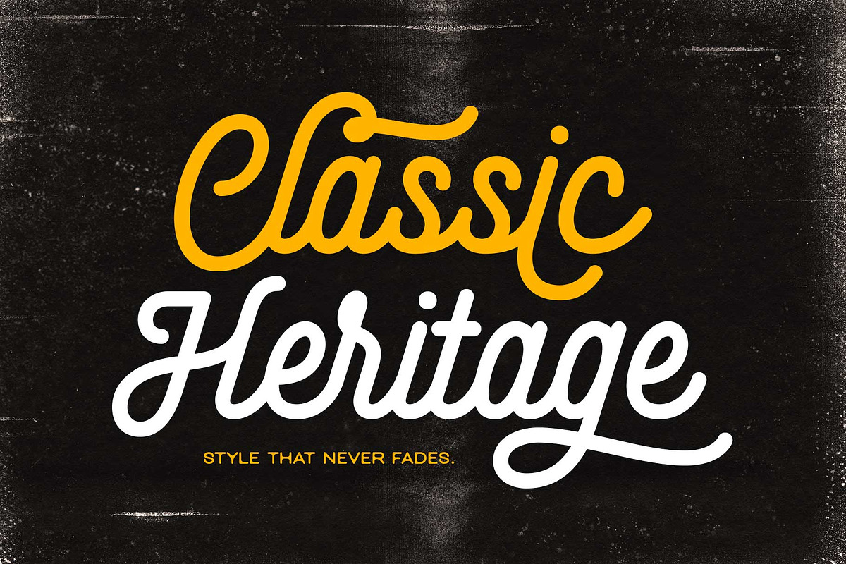 Monoline Script - Shadenia, a Script Font by Novitype (Photo 6 of 13)