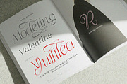 Effidhem Mevagen | 18 Font Files, a Serif Font by IM Studio (Thumbnail 11 of 14)