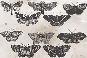 VintageVectorized-Moths2 Clipart