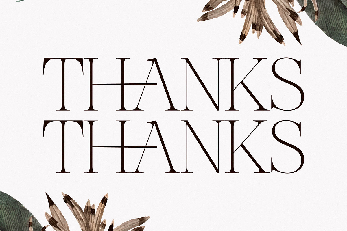 Nocashe New Display Serif Font, a Serif Font by Storytype Studio (Photo 15 of 15)