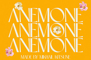 Anemone - Elegant & Modern Sans, a Sans Serif Font by Mikhail Kitsune (Thumbnail 1 of 8)