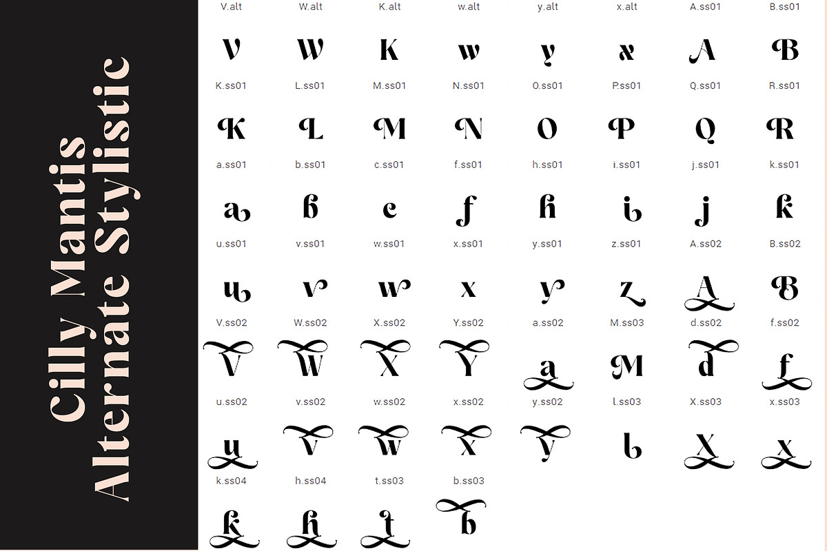 Cilly Mantis, a Serif Font by INKSUN™ (Photo 8 of 8)