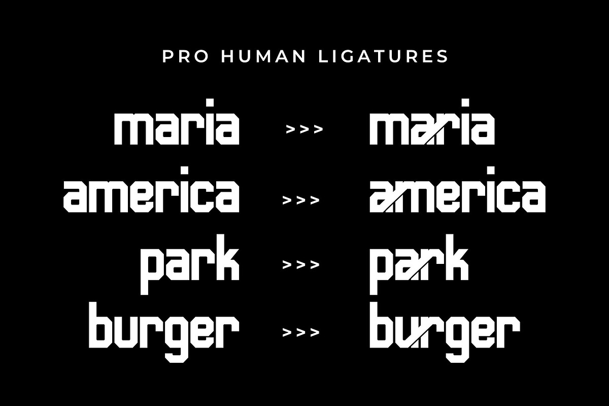 Sans Serif Fonts Bold Pro Human, a Sans Serif Font by Andika Fez (Photo 10 of 13)