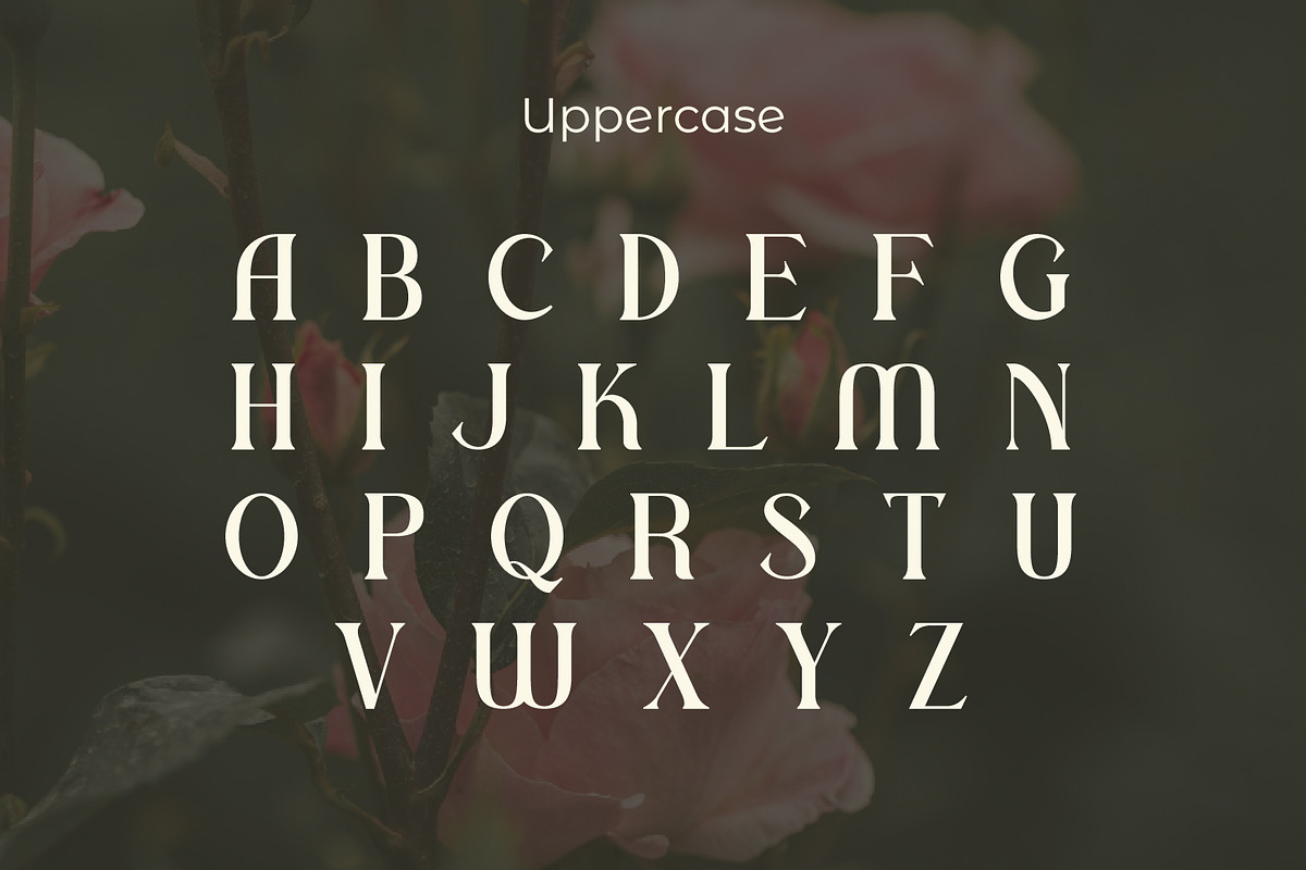 Realugi, a Serif Font by Rishsketch (Photo 8 of 13)