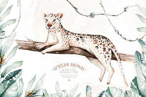 African Animals Watercolor Set