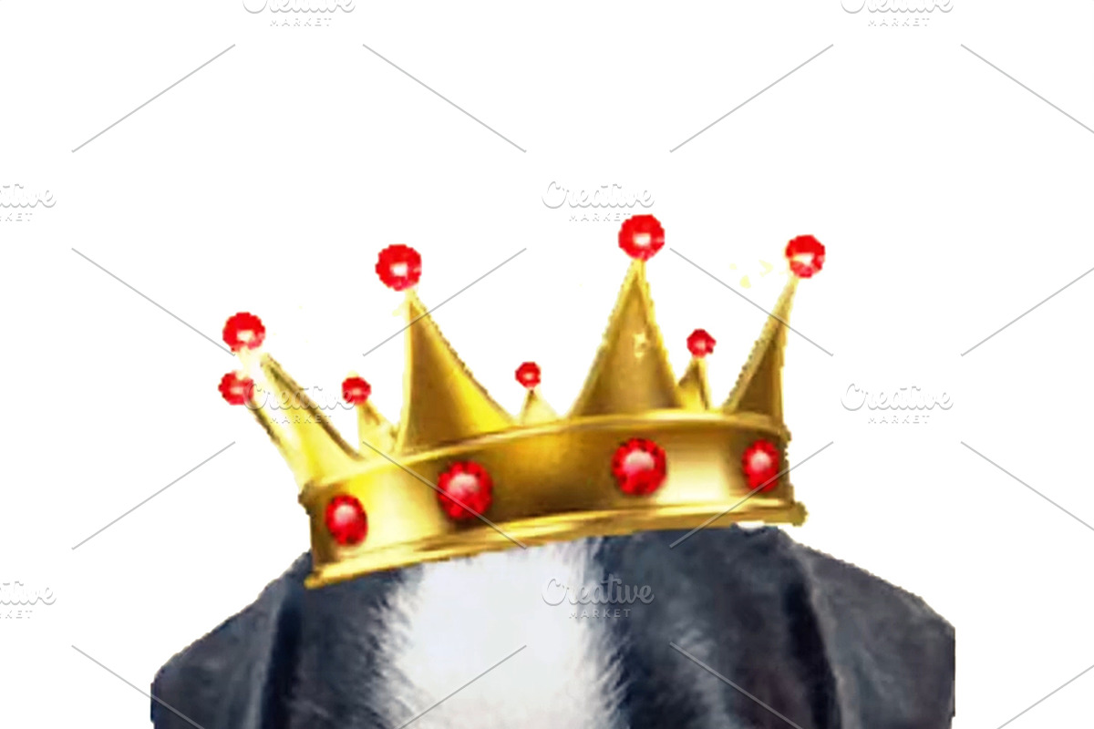 Baby dog with sunglasses and king crown, an Animal Illustration by DanFLCreativo