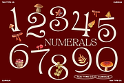 TAN - CURIOUS, a Serif Font by TanType (Thumbnail 10 of 11)