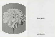 Vintage Scan Borders And Textures⸻3, a Texture Graphic by Studio Viita (Thumbnail 6 of 11)