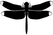 Dragonfly Silhouette, an Object Graphic by Designer_Momina (Thumbnail 16 of 20)