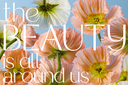 Pink Salt, a Sans Serif Font by Almond Type (Thumbnail 11 of 15)
