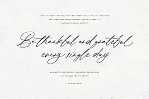 August Bloom Elegant Script Font