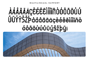 Notcher - Inktrap Display Font, a Sans Serif Font by overlaytemplates (Thumbnail 5 of 5)