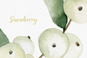 Watercolor Snowberry set, a Graphic by Colibri Watercolor (Thumbnail 5 of 5)