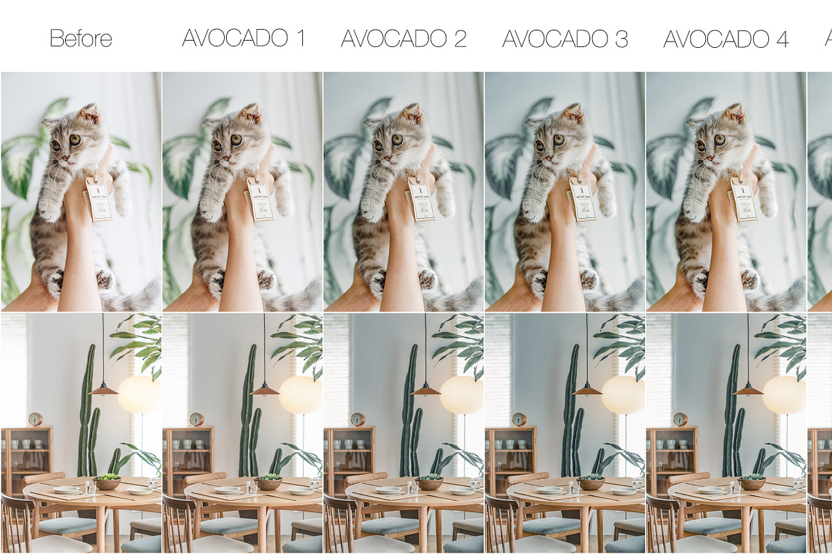Mobile Lightroom Presets, an Action Add-On by The Red Pine (Photo 5 of 5)