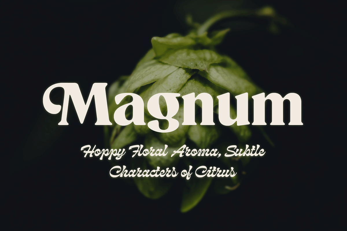 Beckenham Retro Serif, a Font by Fenotype (Photo 13 of 14)