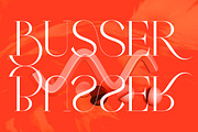 Braston - Elegant Serif Font, a Serif Font by Dora Typefoundry (Thumbnail 14 of 20)