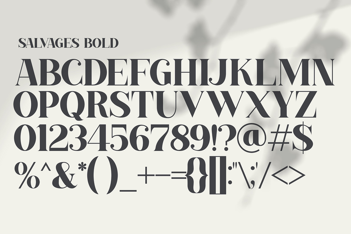 SALVAGES BOLD | SERIF FONT, a Serif Font by Muntab_Art (Photo 9 of 9)