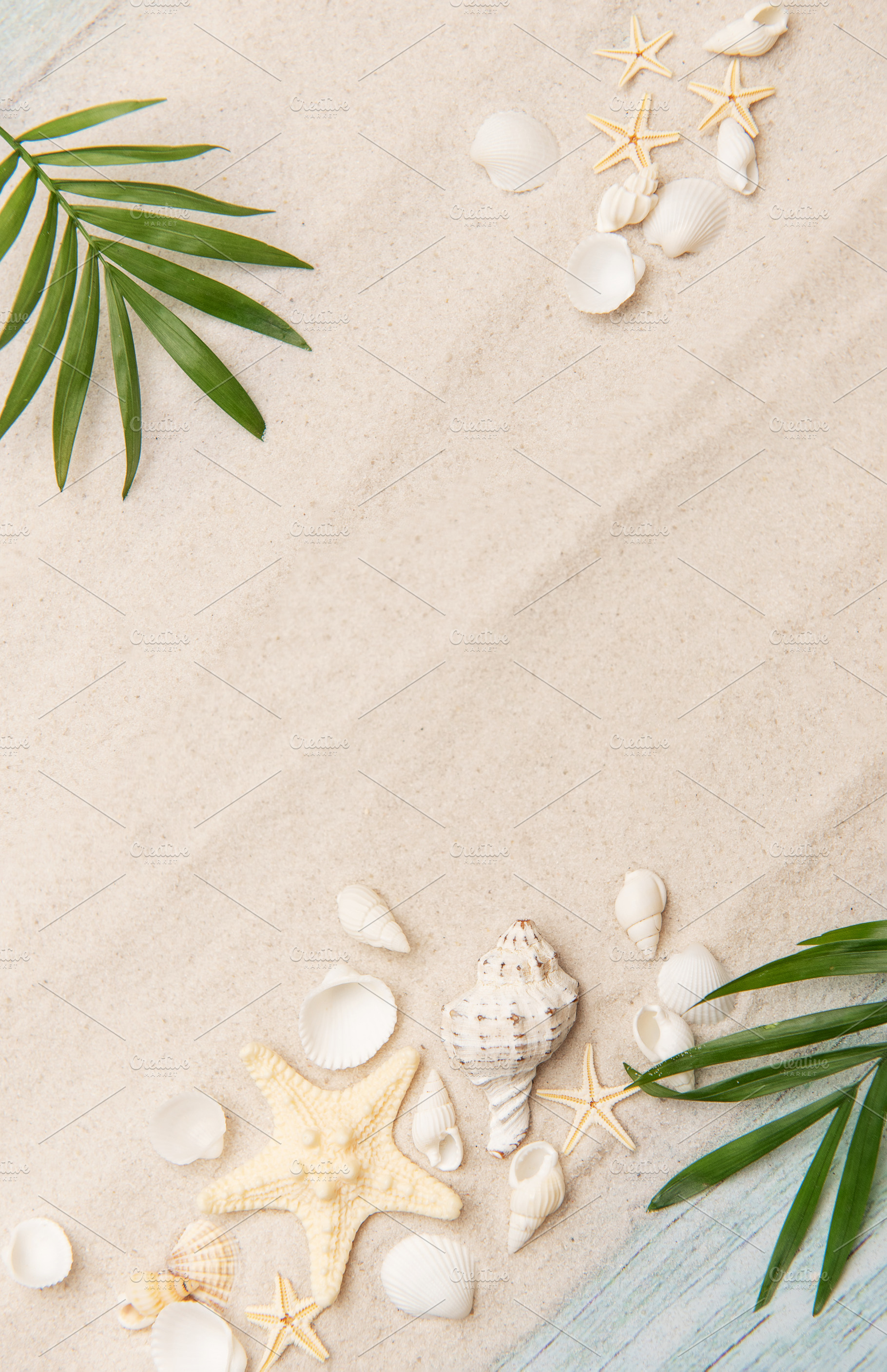 Tropical background featuring palm leaves, seashells, and starfi, a Holiday Photo by Olena Rudo