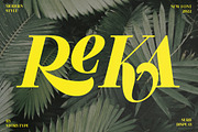 Reka Modern Display Font, a Serif Font by Storytype Studio (Thumbnail 1 of 15)