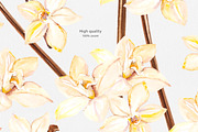 Cosmetic Ingredients Watercolor set, a Healthcare Illustration by Volha Studio (Thumbnail 19 of 19)
