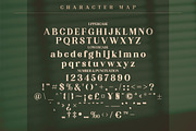 KAKURO Classy Serif Font, a Script Font by Storytype Studio (Thumbnail 7 of 9)