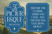 Amelissa Partis, a Serif Font by Madjack.font (Thumbnail 8 of 11)