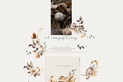 Autumn woodland Forest fall animals, an Animal Illustration by 60secondsArt (Thumbnail 5 of 13)