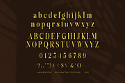 Mango Elegant Serif Font, a Serif Font by Elegant Font (Thumbnail 8 of 8)
