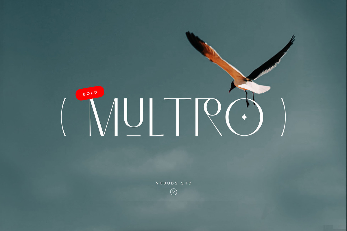 Multro Bold, a Sans Serif Font by vuuuds (Photo 7 of 11)