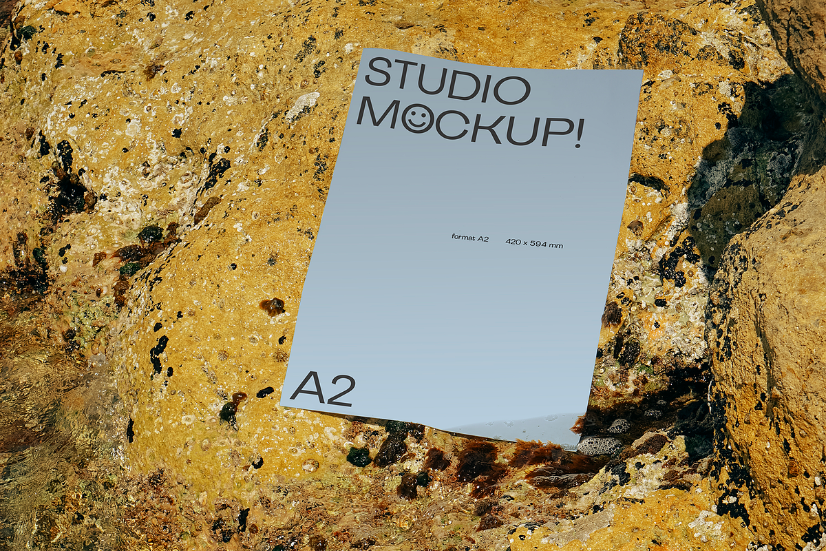 MERMAID, a Graphic by Le Studio Mockup (Photo 4 of 4)