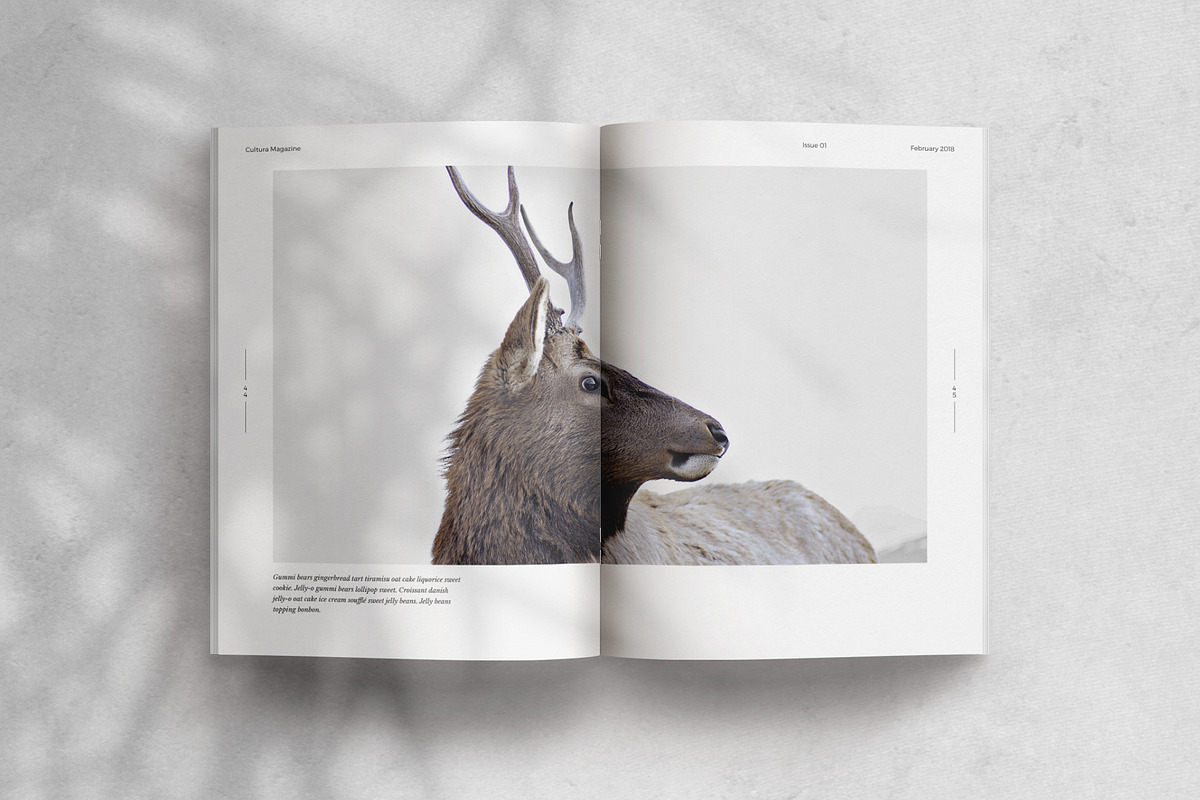 Cultura Magazine Template (InDesign), a Magazine Template by Eternel Design Studio (Photo 10 of 13)