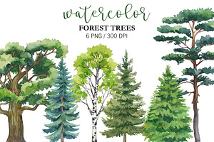 Watercolor Forest Animal Clipart PNG