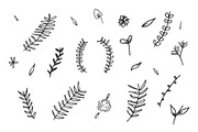Hand Drawn Botanical Doodles, an Illustration by Meagan Apperson (Thumbnail 3 of 3)