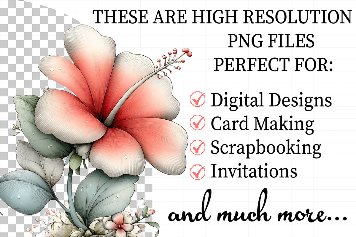 Whimsical Summer Clipart, an Illustration by Daily.Designs (Photo 2 of 6)