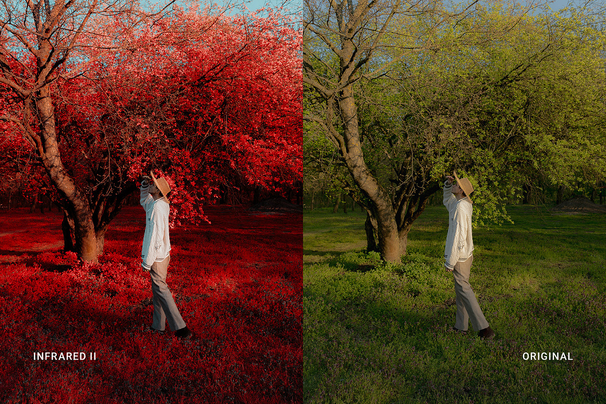 Infrared II, a Preset Add-On by colorituals (Photo 3 of 8)