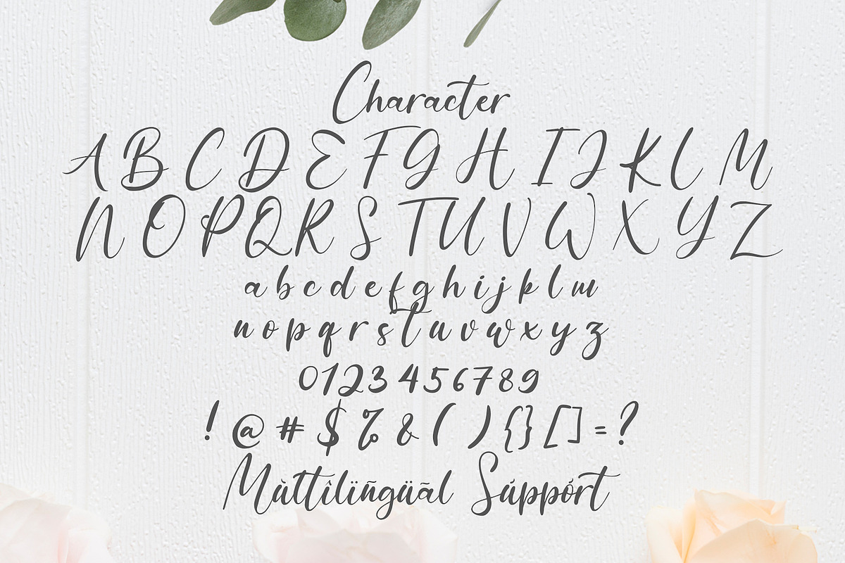 Anythings - Calligraphy Font, a Script Font by StringLabs (Photo 10 of 11)